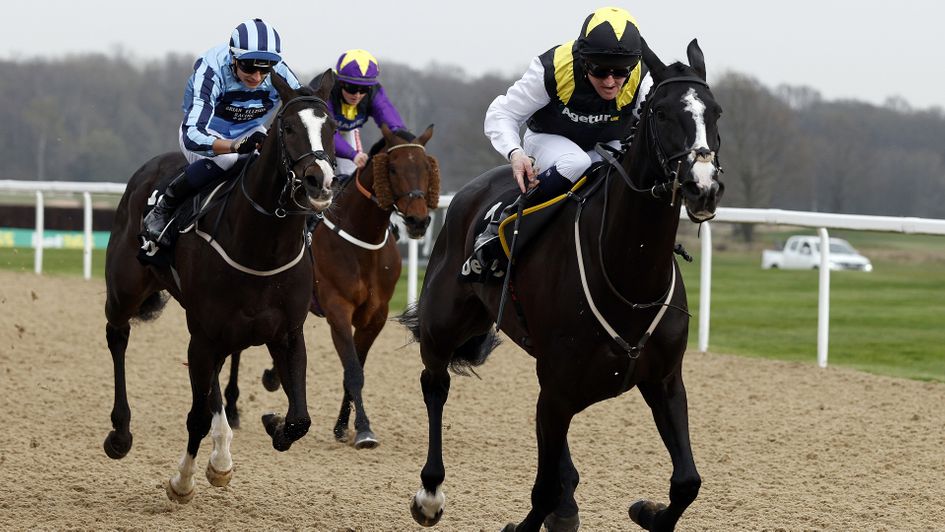 Onesmoothoperator (right) would be a popular winner of Saturday's Northumberland Plate