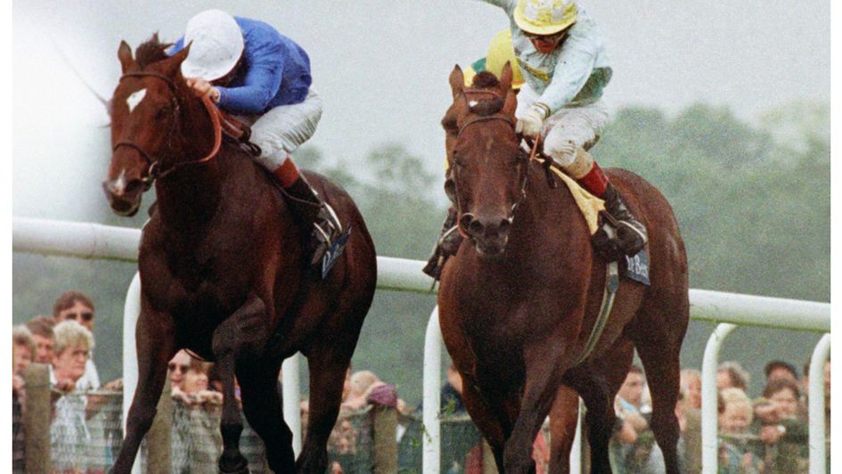 Swain and John Reid win the 1997 King George from Pilsudski
