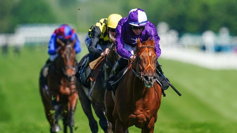 Persian Force winning at Newbury