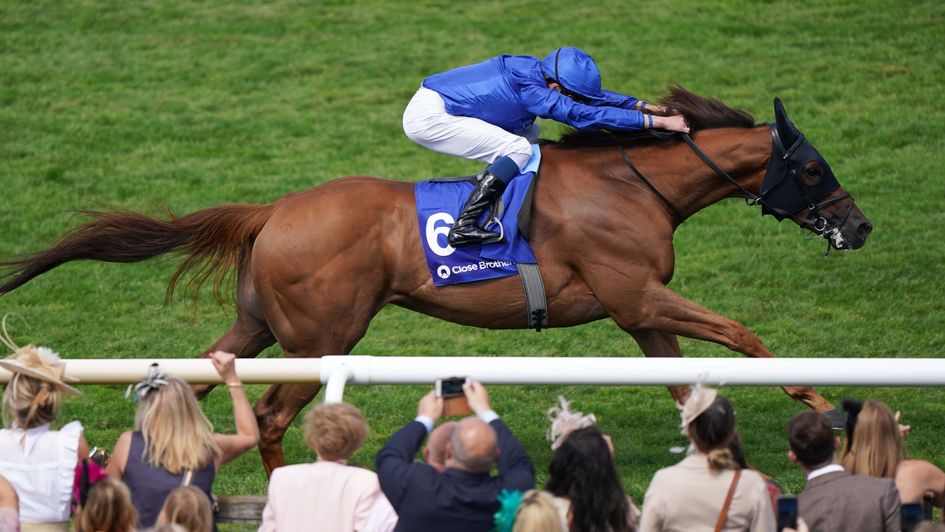 Yibir was a Group winner for Dubawi at Newmarket