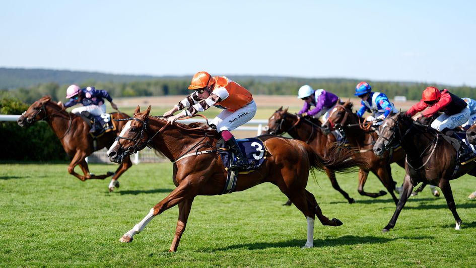 Revels (near side) lunges late to win the nursery from Dubai Champion