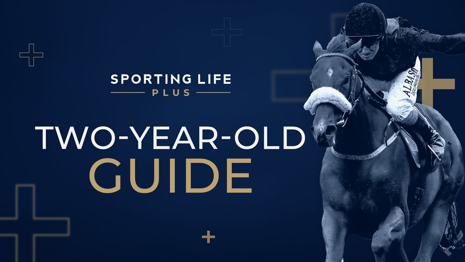 The Dan Briden Two-Year-Old Guide