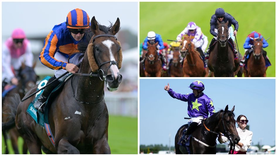 Some of the leading contenders for the Betfred St Leger