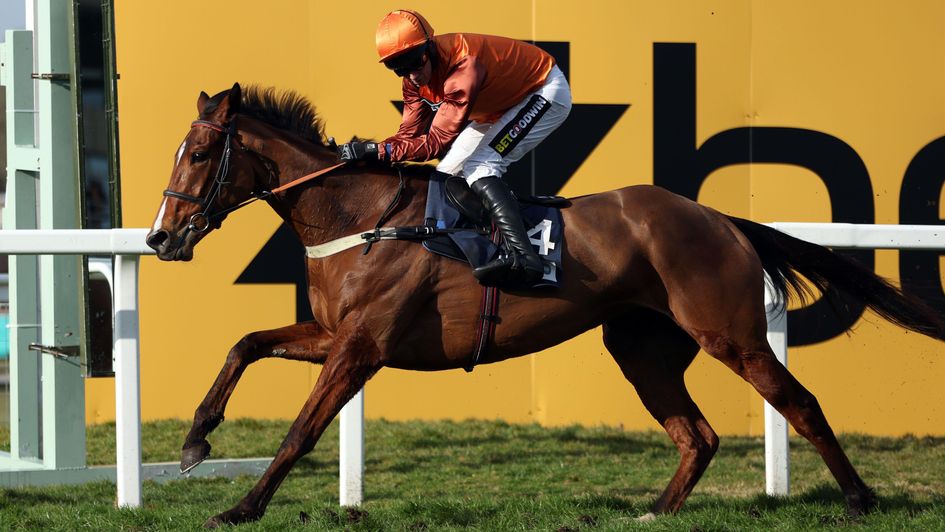 Charisma Cat wins at Sandown