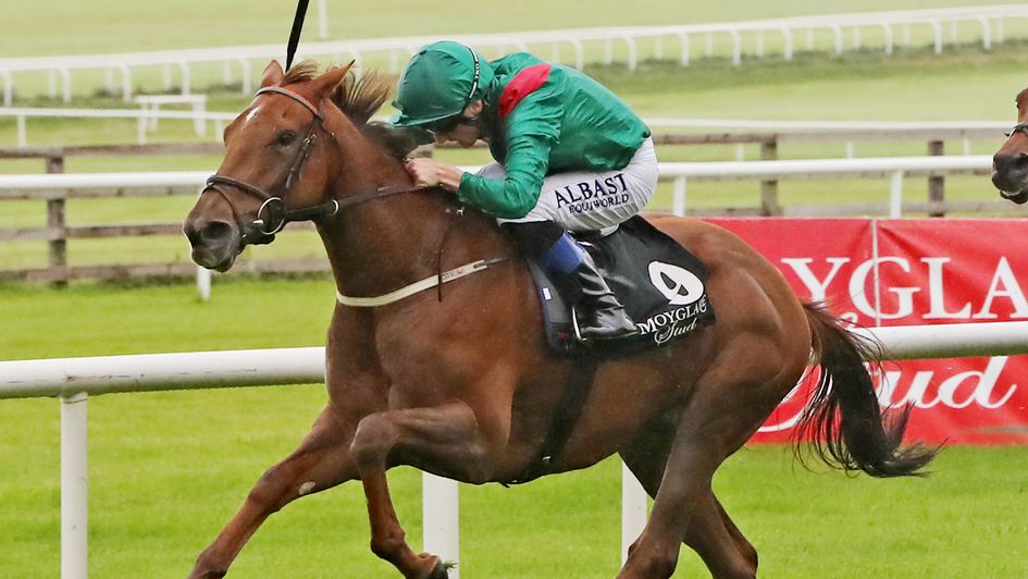 Tarnawa: A real coming-of-age performance in the Vermeille