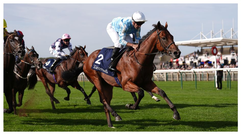 Fuel The jet wins the Tattersalls Stakes