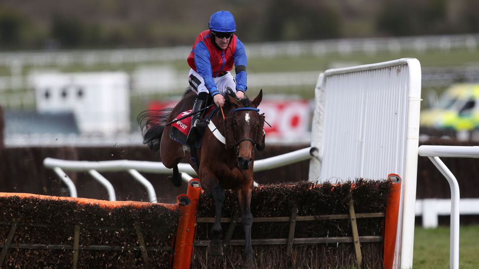 Brian Hughes wins on Bannixtown Glory at Cheltenham