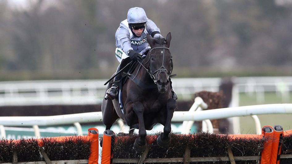 My Drogo is brilliant at Aintree