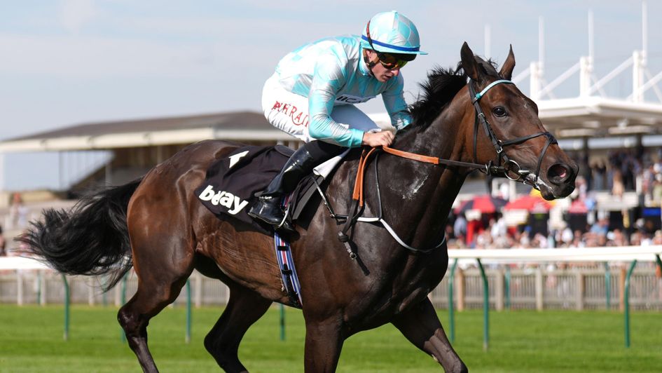 Alobayyah wins at Newmarket