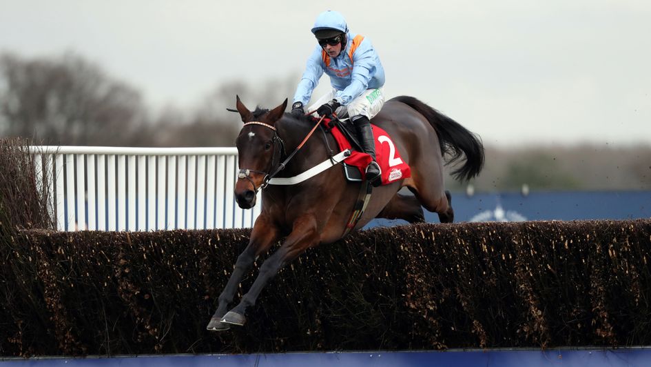 Divine Spear: One run before Cheltenham