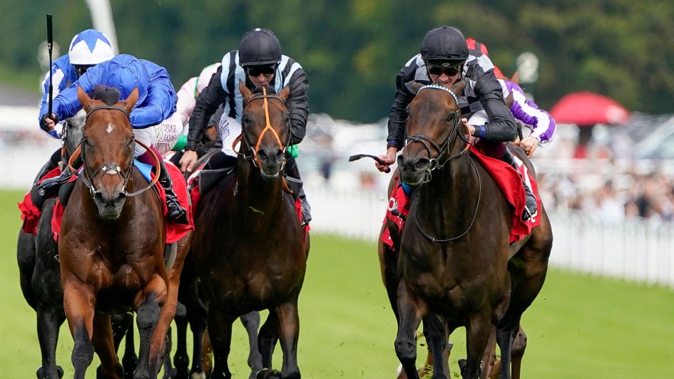 Lavender's Blue overhauls Benbatl