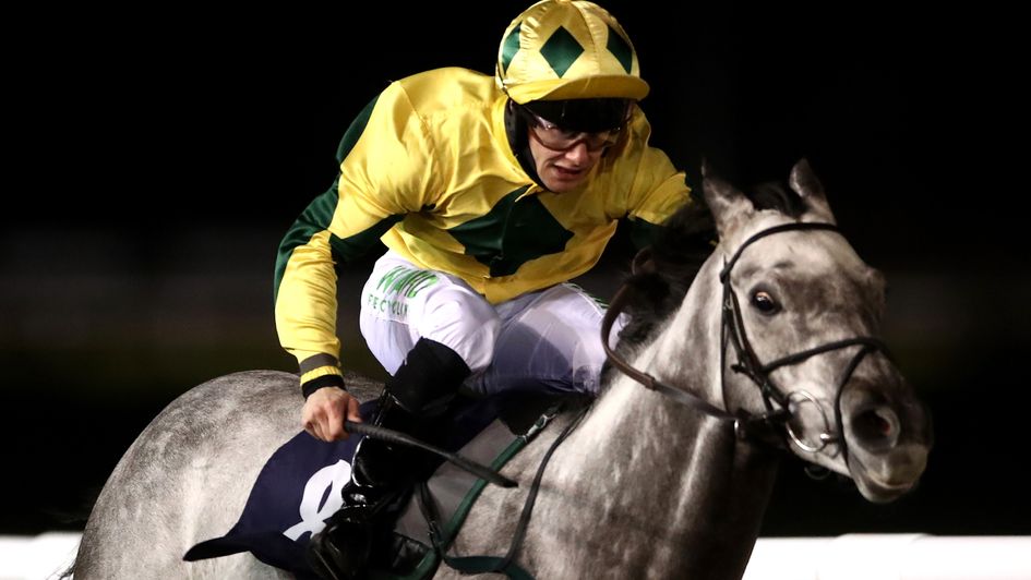 Lord Riddiford in action