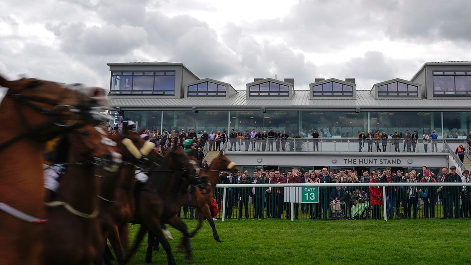 No Punchestown Festival this year