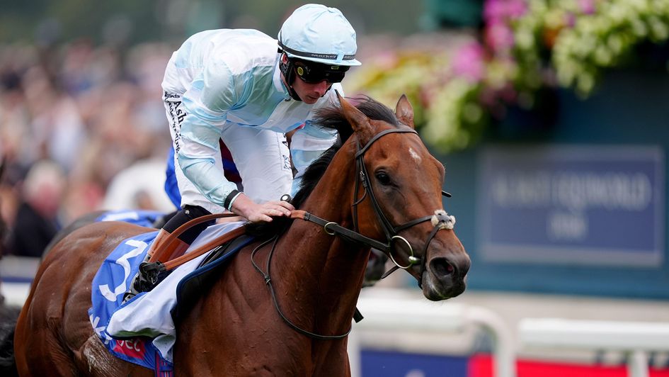 Pride Of Arras back on song at York