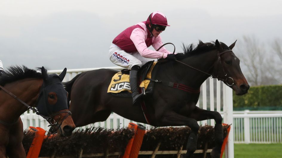 Galahad Quest wins at Cheltenham