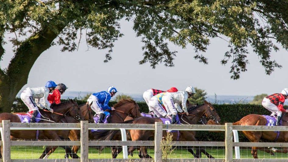 They race at Beverley on Thursday