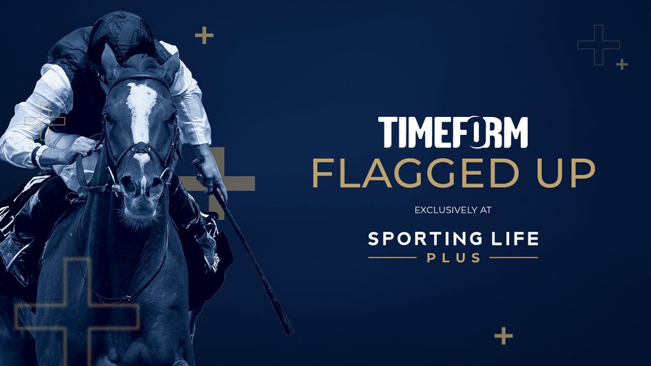 Timeform's Flagged Up