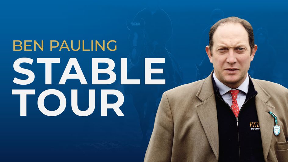 Ben Pauling Stable Tour
