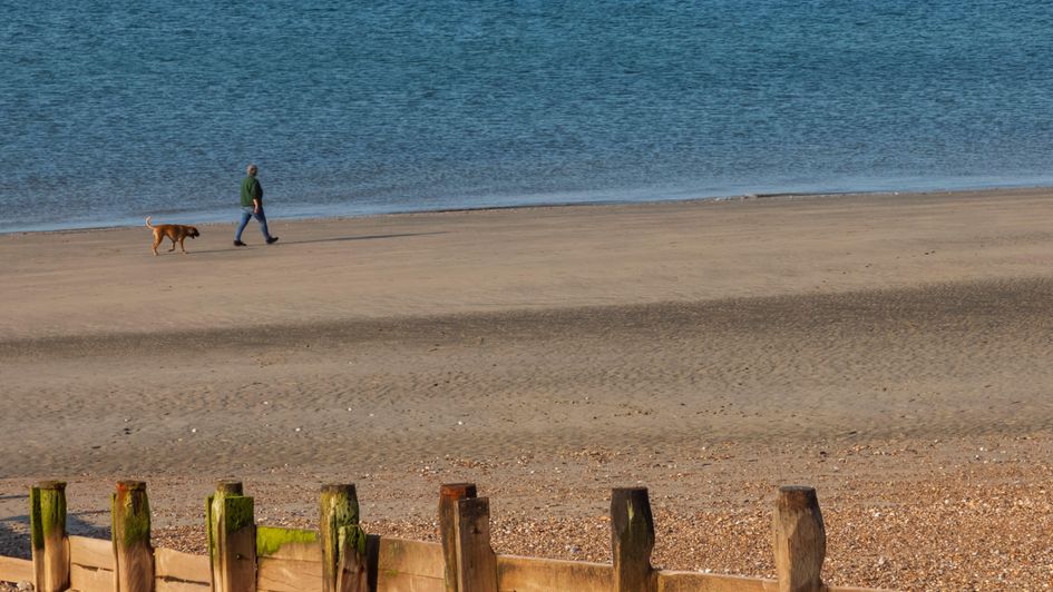 Selsey - not the view from the skylight window