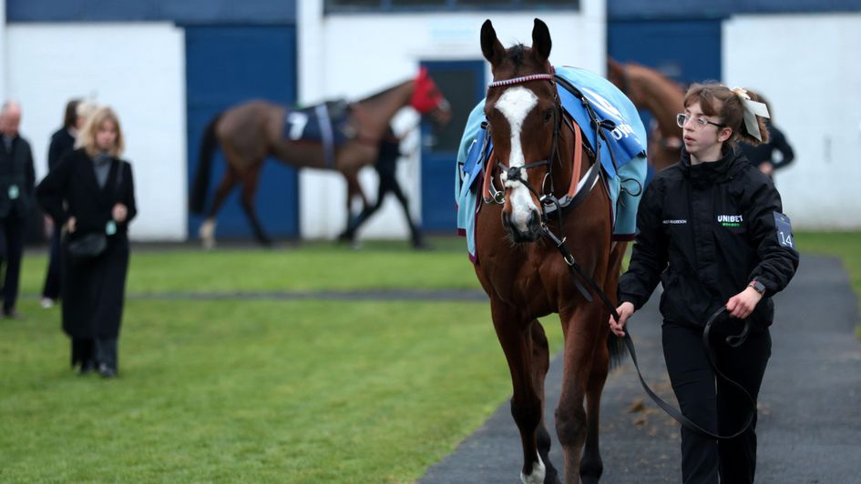Some stable staff have been offered new training programme