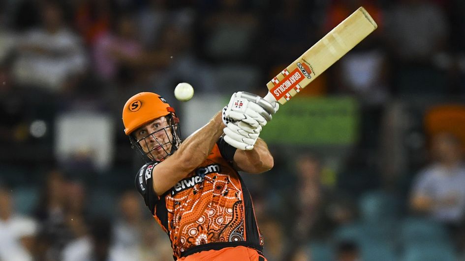 Perth Scorchers hitman Mitchell Starc
