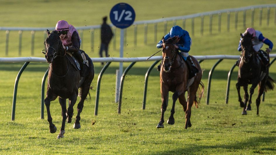 I Am I Said impresses at Newmarket