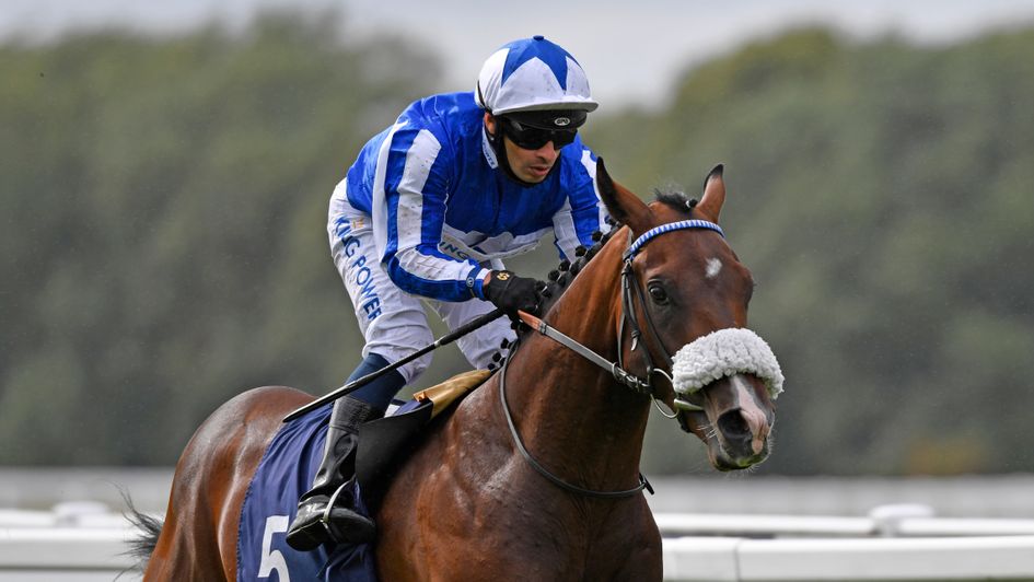 Mystery Smiles under Silvestre De Sousa