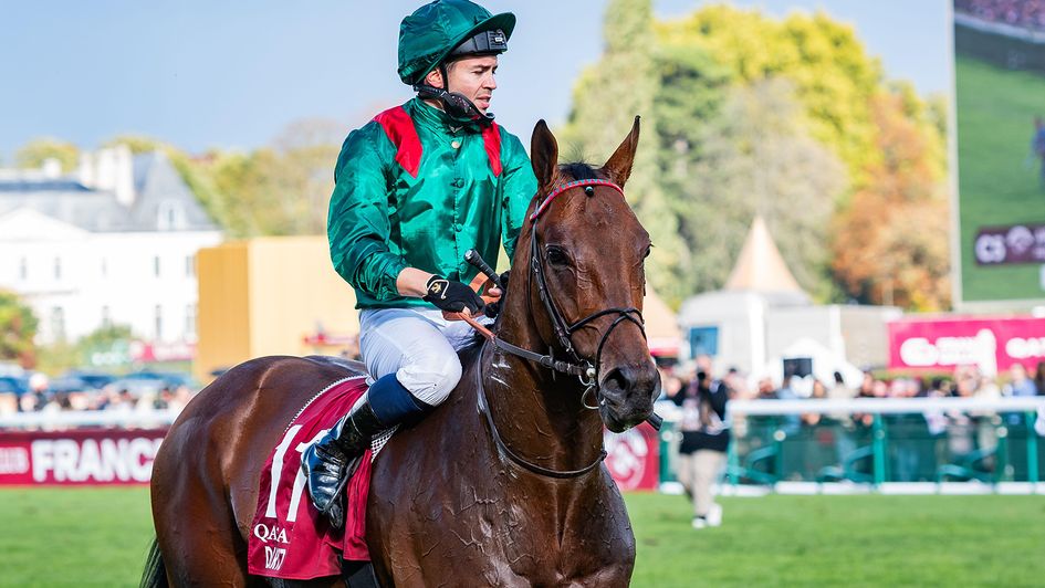 Daryz returns to action on Thursday