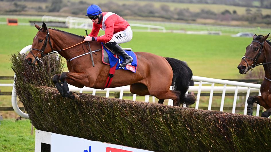 Envoi Allen Delighting De Bromhead Ahead Of 2021 Cheltenham Festival