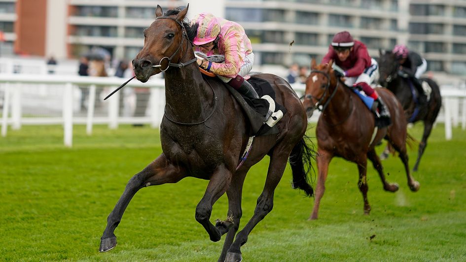 Cicero's Gift has looked a rare talent to this point