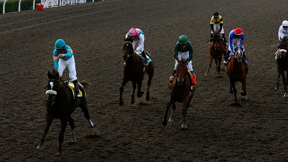Zenyatta wins the 2009 Classic