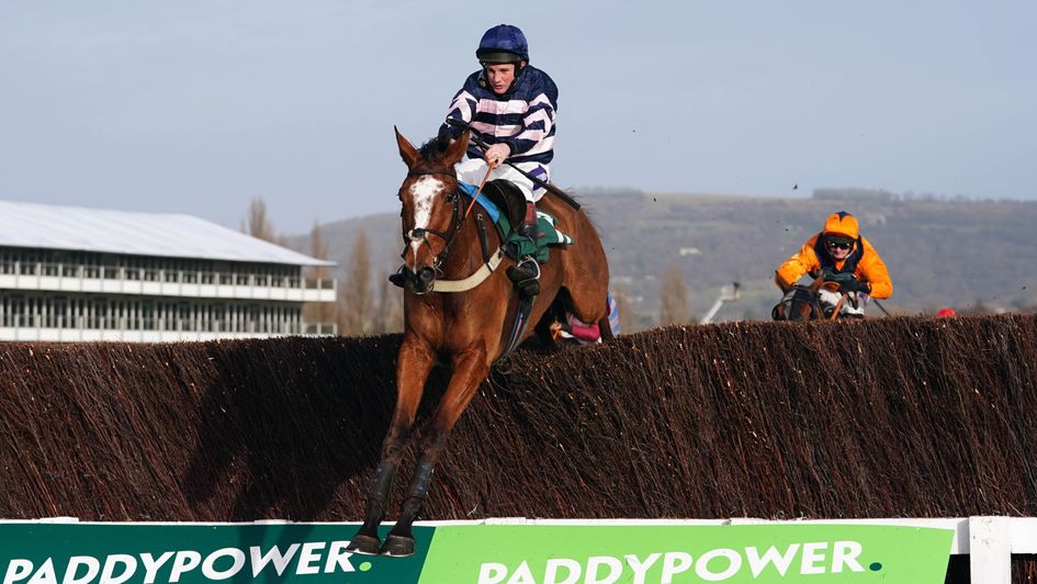 Full Back in winning action at Cheltenham