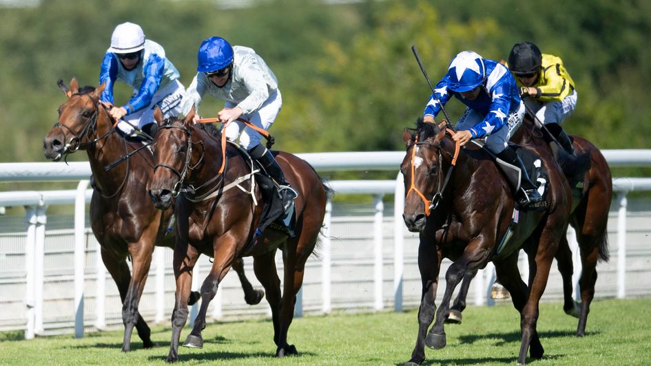 Mark Of The Man ridden by Sean Levey riding (right) win the Gusbourne Nursery