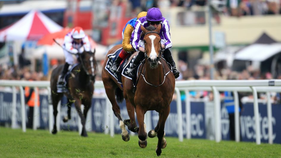 Minding was an impressive winner of the 2016 Oaks