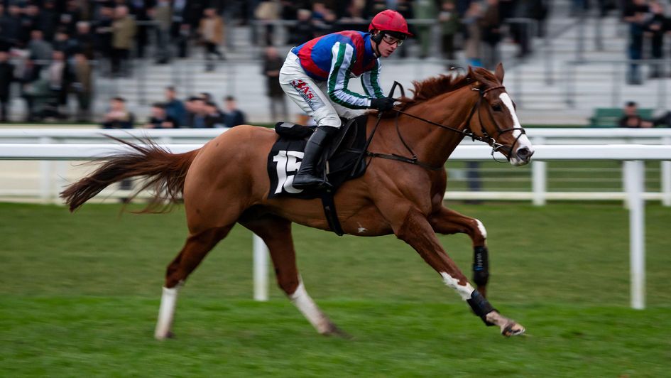 Windbeneathmywings pictured winning at Ascot
