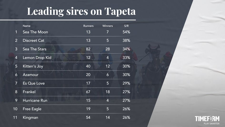 A look at the leading sires on Tapeta
