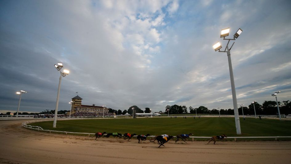 The Greyhound Derby returns to Towcester - but will the prize itself stay in Ireland?