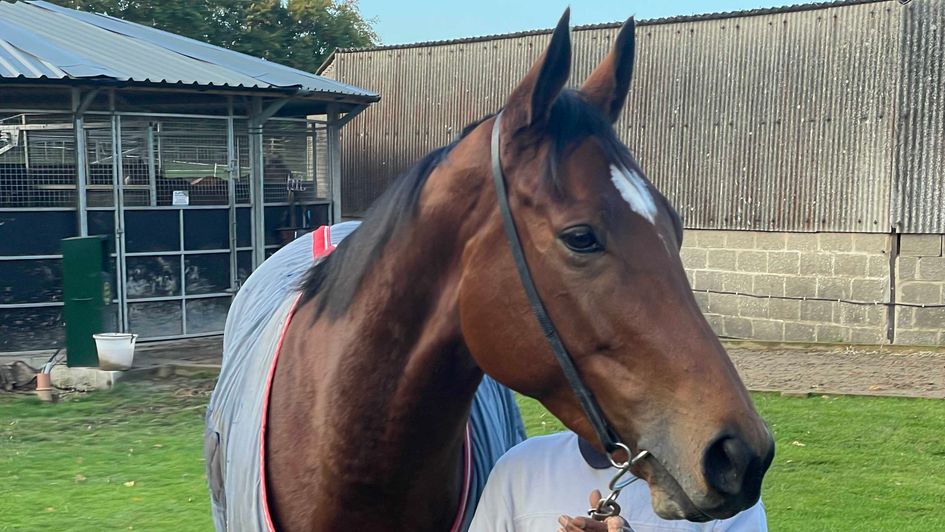 Highfield Princess looks in great form ahead of Keeneland