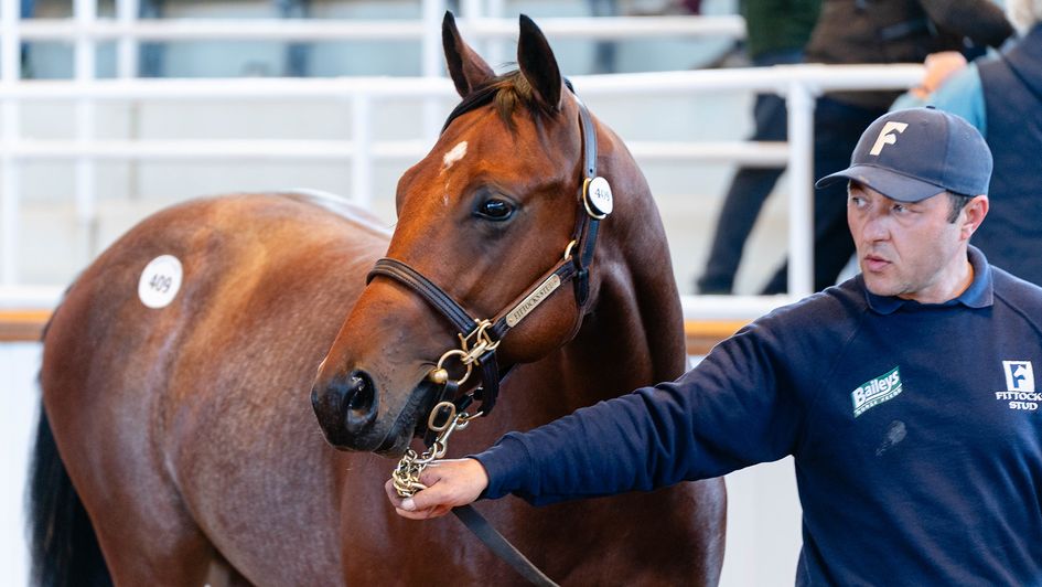 Lot 409