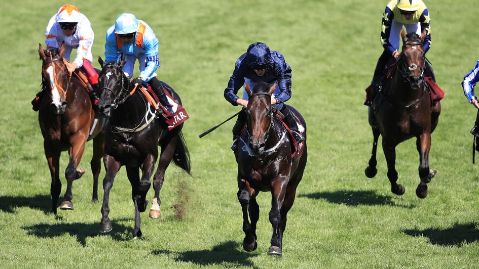 Land Force (centre) wins the Richmond Stakes