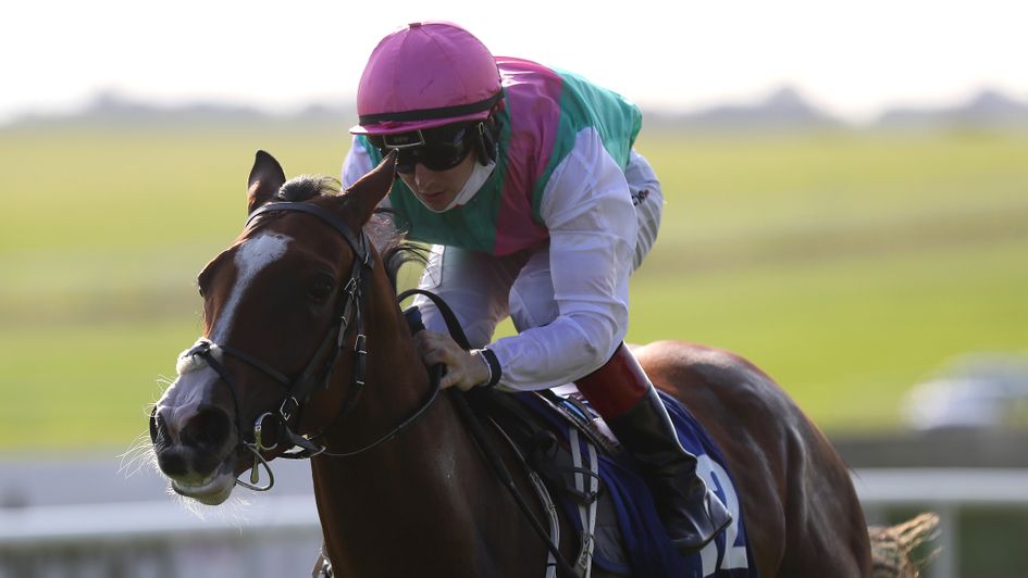 Sacred Bridge: the highest-rated juvenile filly with Timeform
