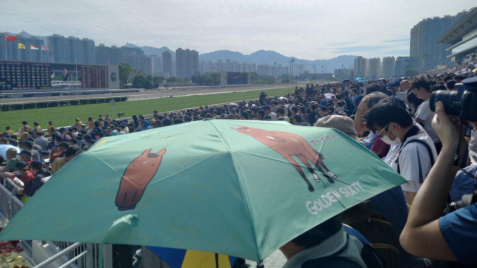 The Golden Sixty umbrella is up to create some shade in the stands