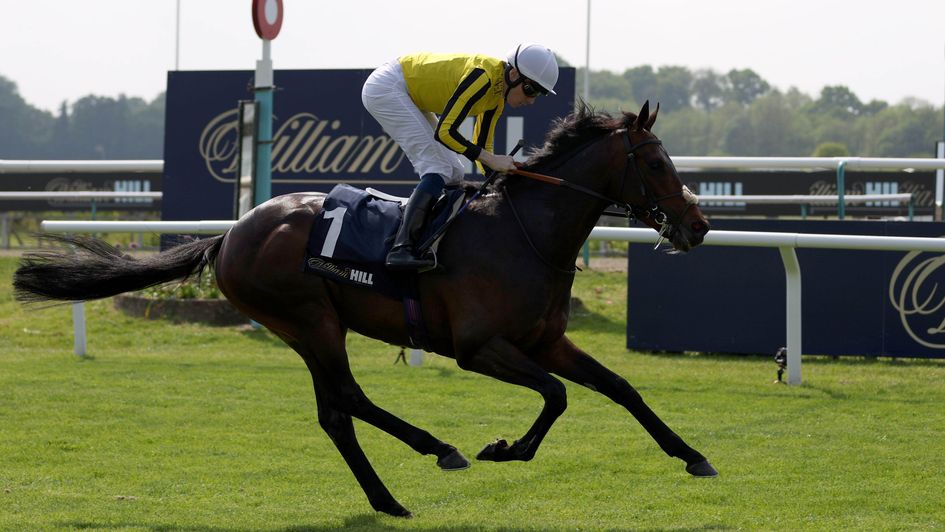 Ambiente Friendly is clear at Lingfield