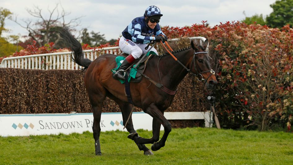 Menorah is now retired and spends his days at Richard Johnson's place