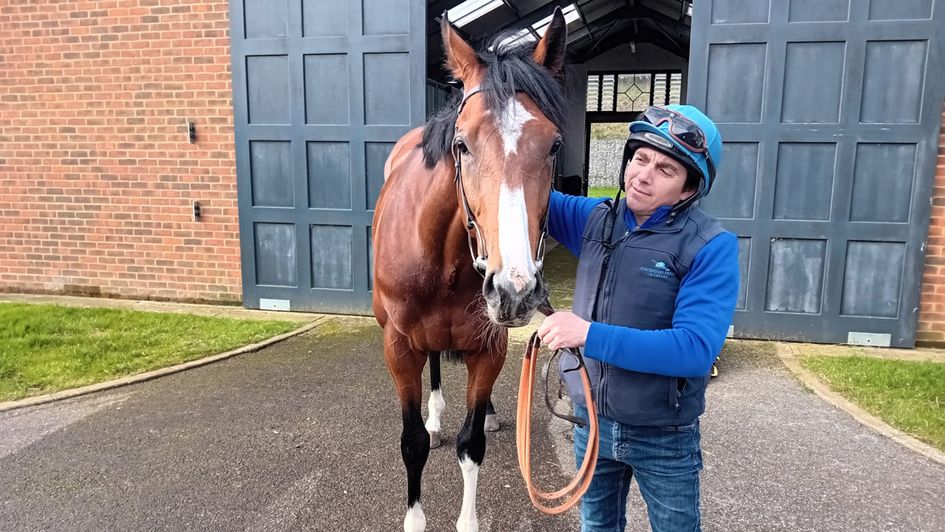 War Rooms pictured at Owen Burrows' yard