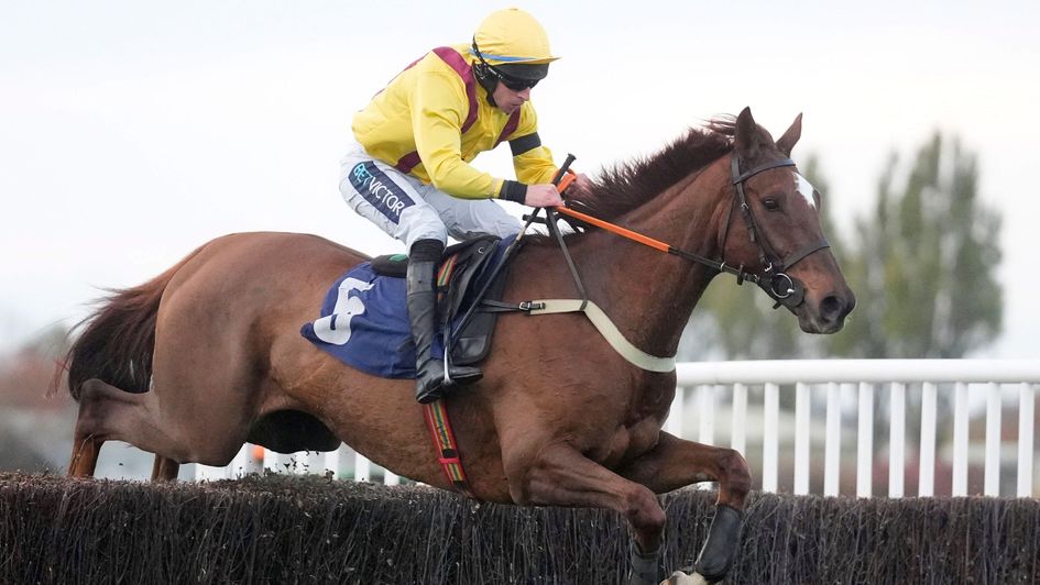 Konfusion - returns to Wetherby