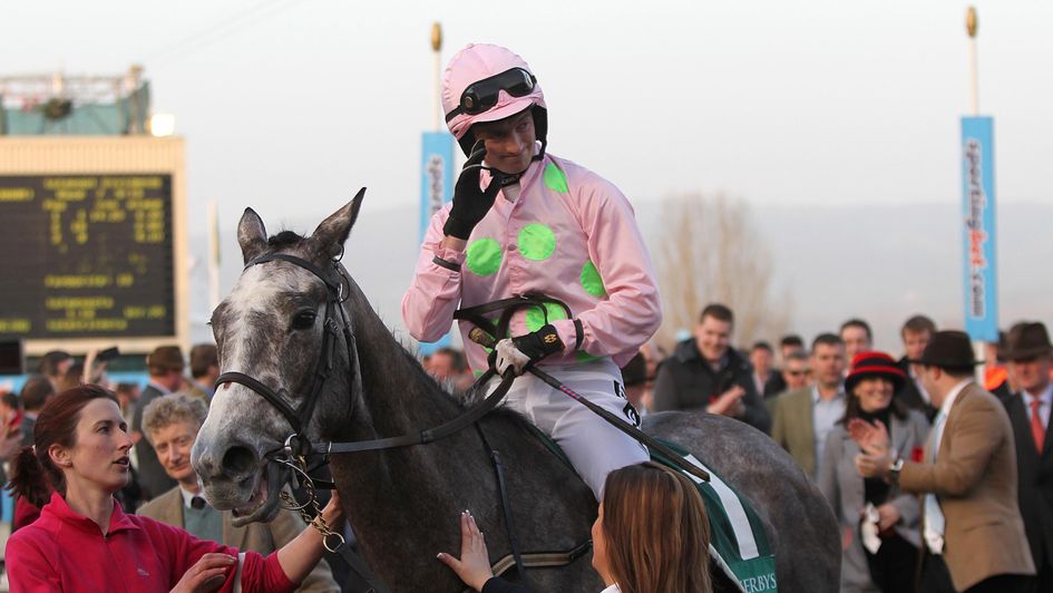 Patrick returns on Champagne Fever at Cheltenham
