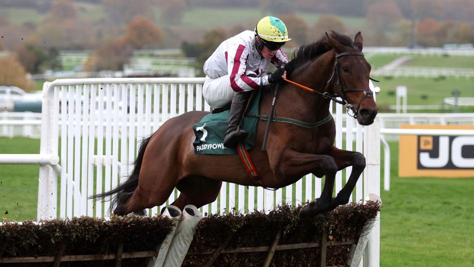 Buddy One on his way to victory