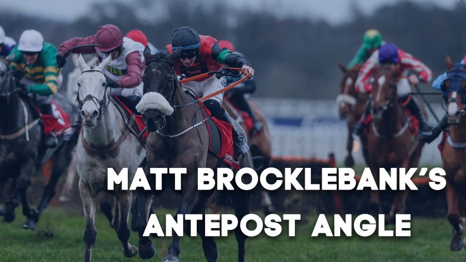 Ascot's big handicap hurdle comes under the spotlight