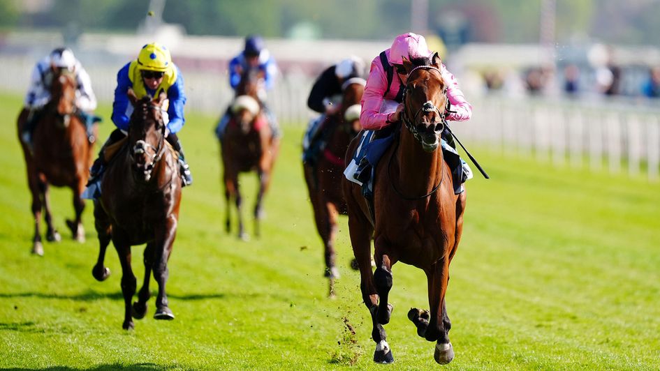 Bowmark was different class at York